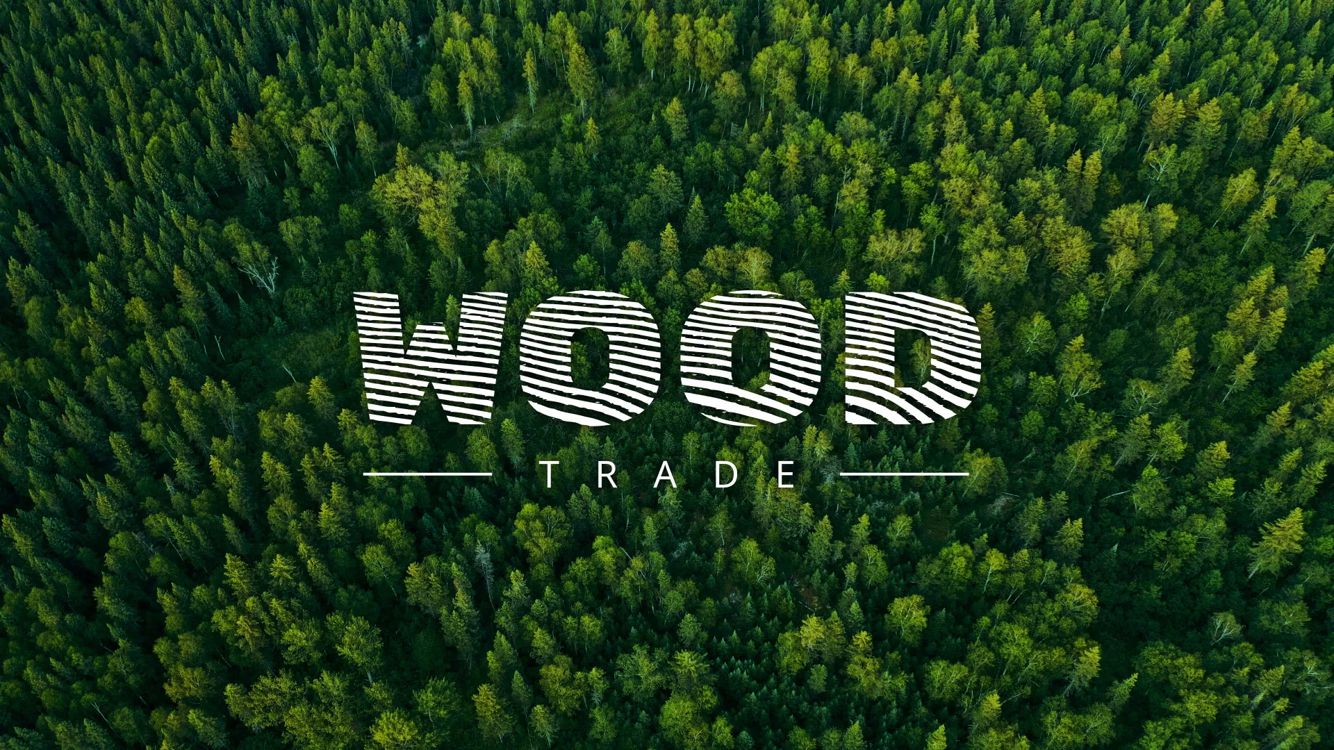 Разработка интернет-магазина компании «Wood Trade» в Котласе